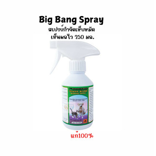 Bigbang Spray สเปรย์กำจัดเห็บหมัด สำหรับสุนัขและแม่