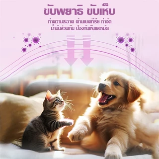แชมพูสุนัข แชมพูแมว หอมนาน แก้คัน สำหรับสัตว์เลี้ยง แชมพูอาบน้ำหมา แชมพูอาบน้ำสุนัข แชมพูอาบน้ำแมว Pet Dog