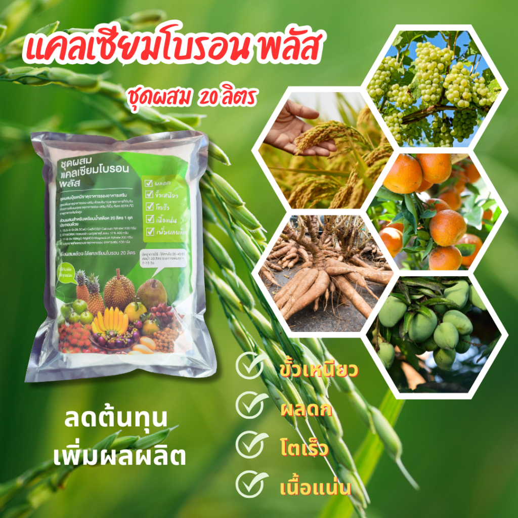 ชุดผสมแคลเซียมโบรอน พลัส 20 ลิตร ผลดก ต้นแข็งแรง ลดต้นทุน เพิ่มผลผลิต