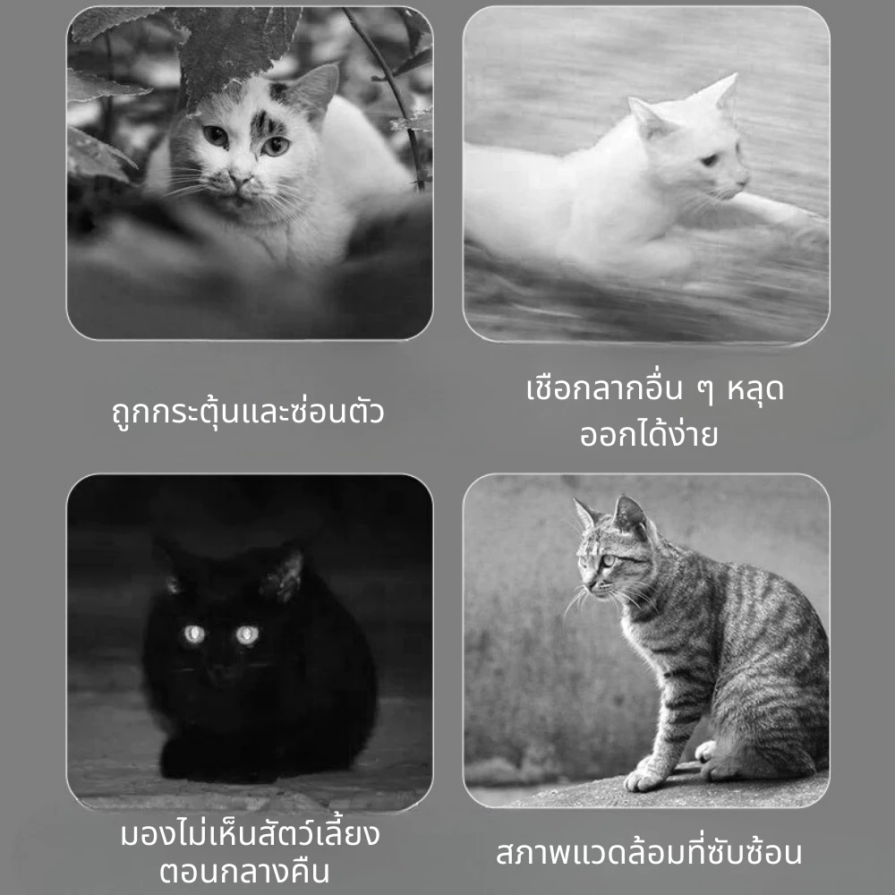 เชือกจูงแมววัสดุเรืองแสง thumbnail 4