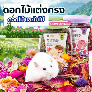 [HiHamster] รองกรงดอกไม้ ดอกไม้แห้ง สำหรับแฮมสเตอร์ เม่นแคระ…