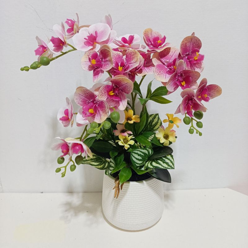 กระถางดอกกล้วยไม้ แจกันดอกไม้ ฟาแลนด์ ดอกไม้ตกแต่ง