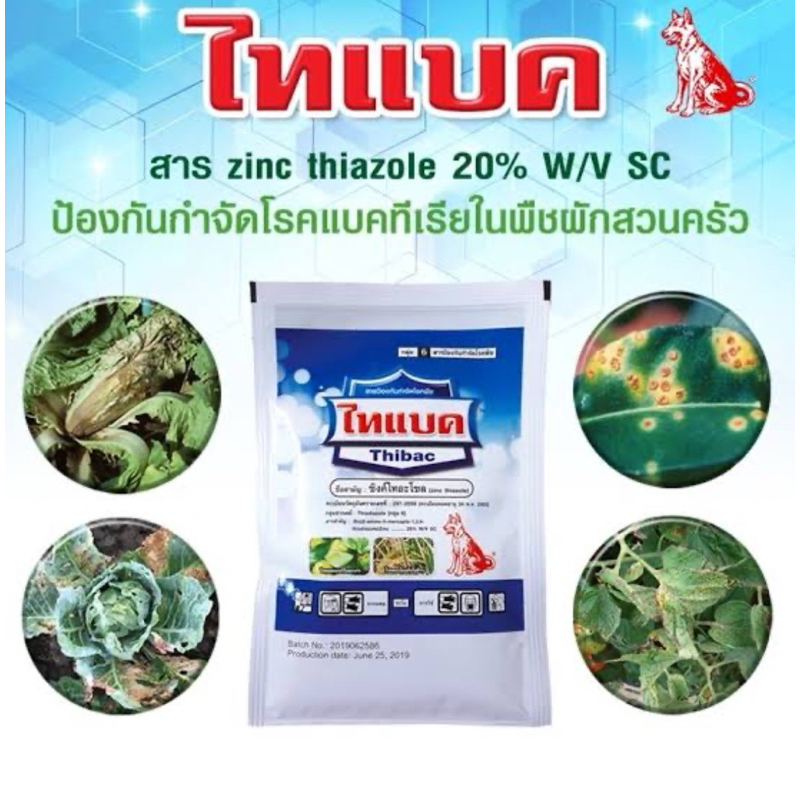 ไทแบค ซิงค์ไทอะโซล (Zine thiazole) สารป้องกันกำจัดเชื้อแบคทีเรีย