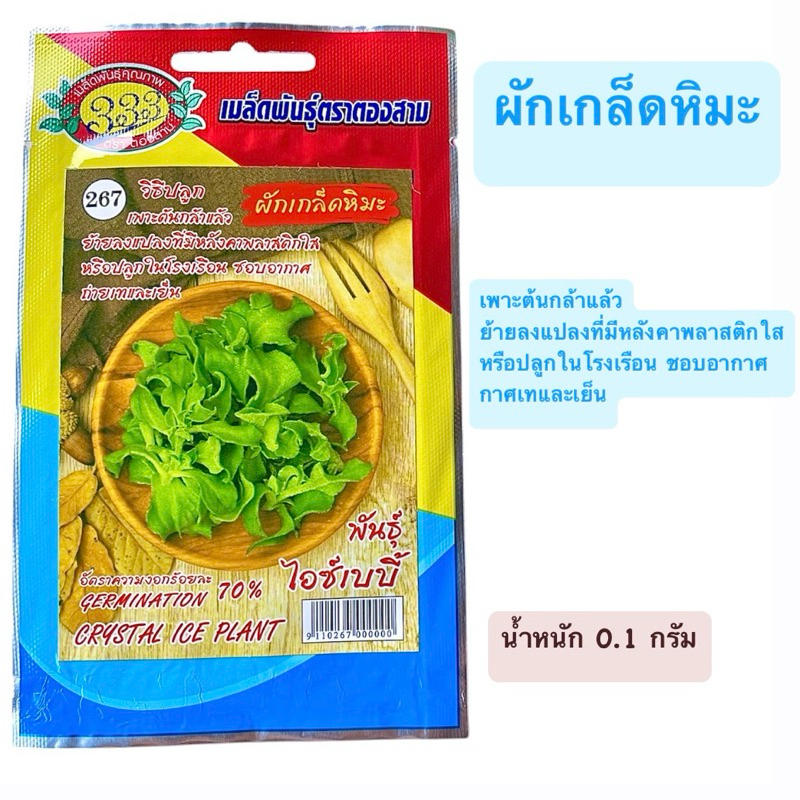 เมล็ดผัก เกล็ดหิมะ (0.1 กรัม) ชอบอากาศเย็น