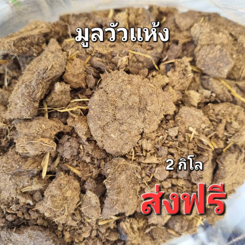 ขี้วัวแห้ง2กิโล ปุ๋ยคอก มูลวัวแห้ง