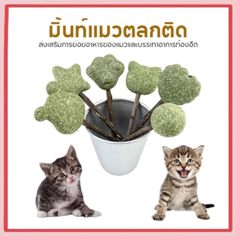 ⚡Catnip Lollipop อมยิ้มแคทนิปเสียบไม้มาทาบิ สมุนไพรแมวฟิน แคทนิปแมว ของเล่นแมว