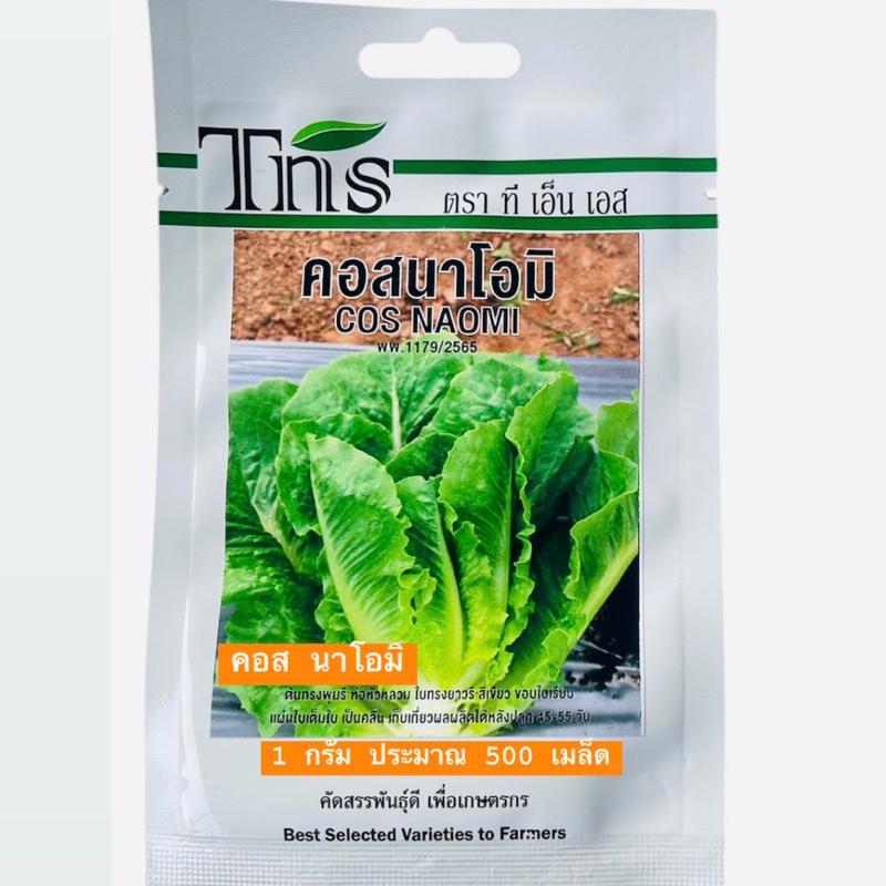 tns สลัด คอส นาโอมิ COS NAOMI (500 เมล็ด)