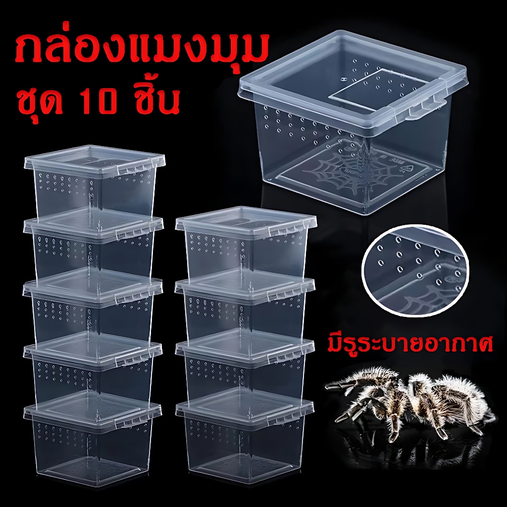 กล่องแมงมุม กล่องใส่แมลง​ ชุด 10 ชิ้น ขนาดเล็ก พลาสติก มีรูระบายอากาศ
