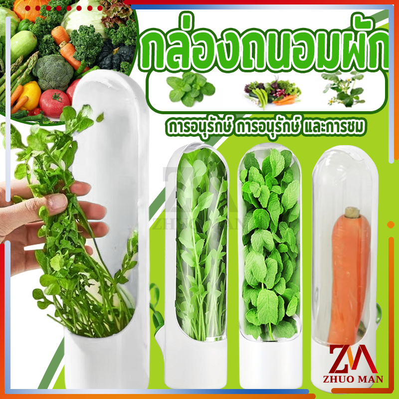 กล่องถนอมผัก ที่เก็บผัก ถ้วยสมุนไพรสด กล่องถนอมอาหาร ไม่ทำให้ผักช้ำ มีช่องฉีดน้ำสำหรับเติมน้ำ คงความสดใหม่ของอาหาร