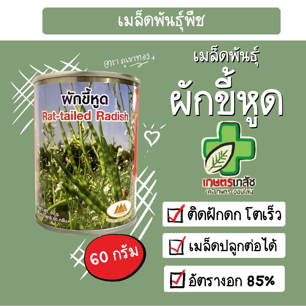 เมล็ดพันธุ์ ผักขี้หูด ตราภูเขาทอง 60 กรัม