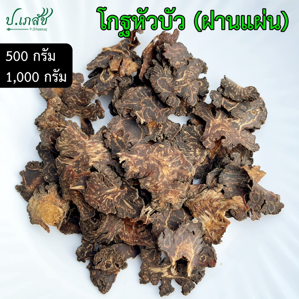 โกฐหัวบัว แบบฝานแผ่น [500 / 1000 กรัม] ชวงเกียง