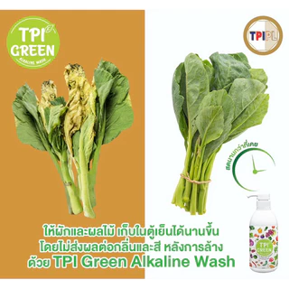 น้ำยาล้างผักผลไม้ TPI Green Alkaline Wash ขวด 450ml