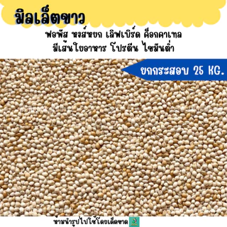 (ยกกระสอบ 25 KG.)มิลเล็ตขาว (White Millet) เกรด A อาหารนกแก้ว