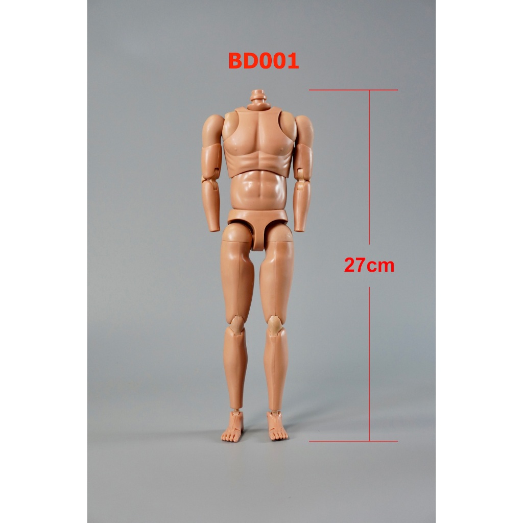 DID 1/6 : Male Body - BD001  (บอดี้+มือสีขาว+มือสีน้ำตาล)"