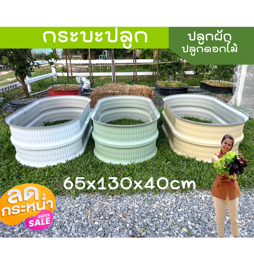 [ขนาดใหญ่ขึ้น]กระบะปลูกผัก กระบะปลูกดอกไม้ กระบะปลูกต้นไม้