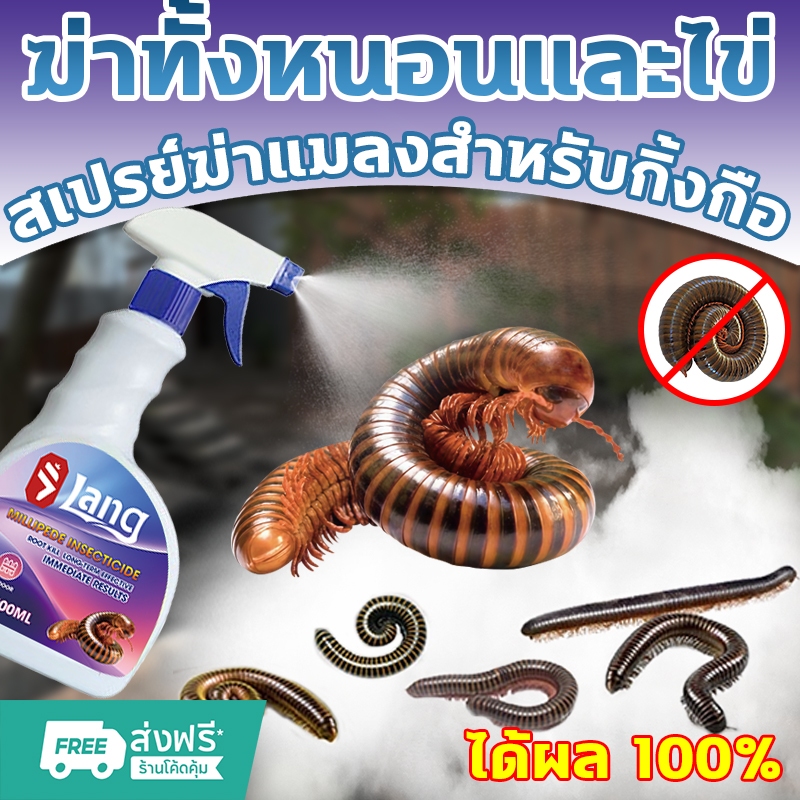 ตายทันทีถ้าสัมผัส ฆ่ากิ้งกือ ไล่กิ้งกือ 500ml สเปรย์ฆ่าแมลงสำหรับกิ้งกือ ไซเพอร์เมทริน 0.3% กําจัดตะขาบ ยาฉีดตะขาบ