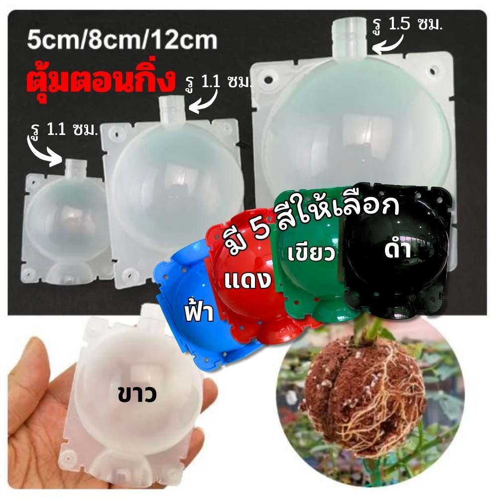 ตุ้มตอนกิ่ง ตอนกิ่ง มีที่ล็อคในตัว ตุ้มตอนพลาสติก แบบหนา มี 3 ขนาด ขาวโปร่ง แข็งแรง ทนทาน ใช้ซ้ำได้