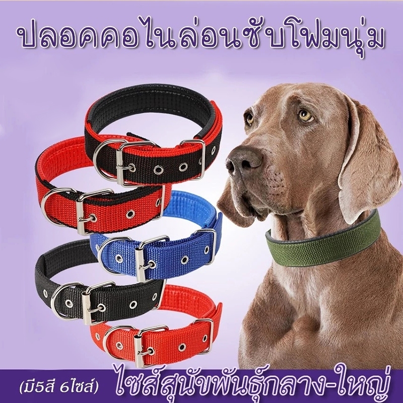 ปลอกคอสุนัข หมา ปลอกคอแมว แบบไนล่อน ปลอกคอสัตว์เลี้ยง พันธ์ใหญ่ - พัุนธ์เล็ก pet collar