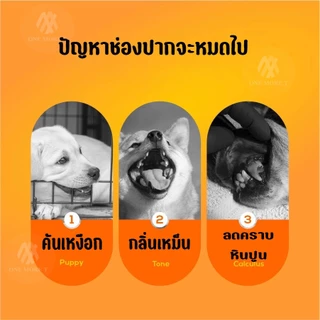 ขนมขัดฟัน แท่งทรกระดูก แพ็คใหญ่ 400กรัม 2รสให้เลือก เนื้อเเละไก่
