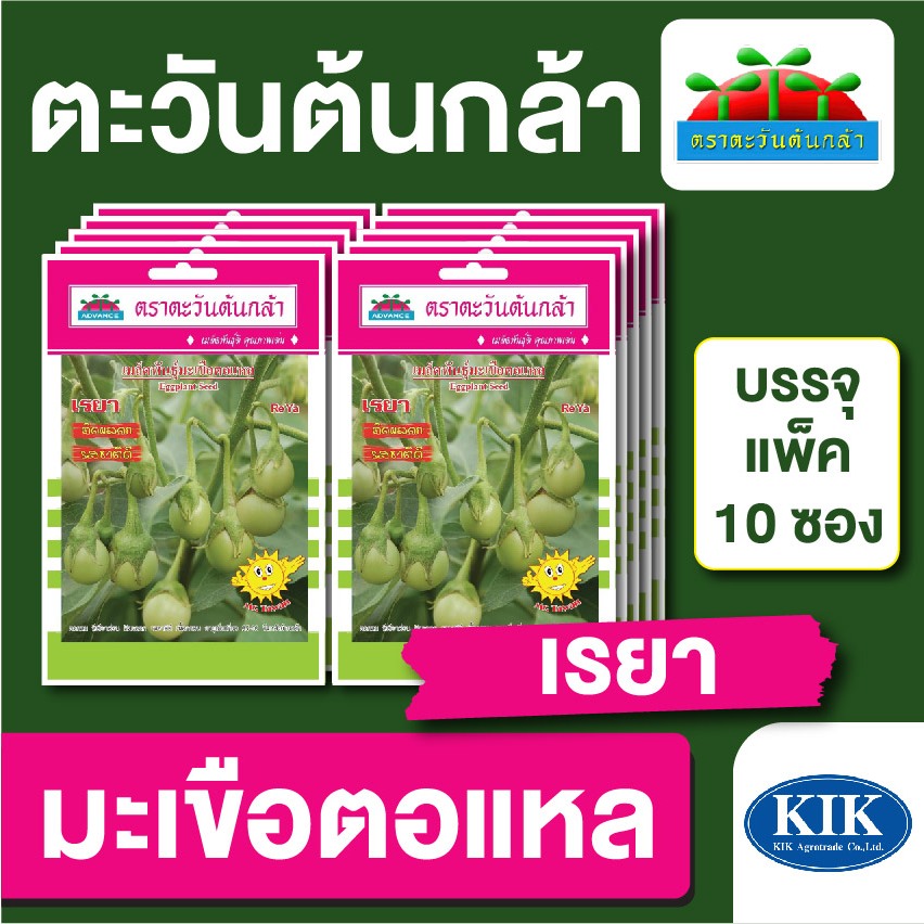เมล็ดพันธุ์ ผักซอง ตะวันต้นกล้า SP มะเขือตอแหล เรยา บรรจุ แพ็คละ 10 ซอง
