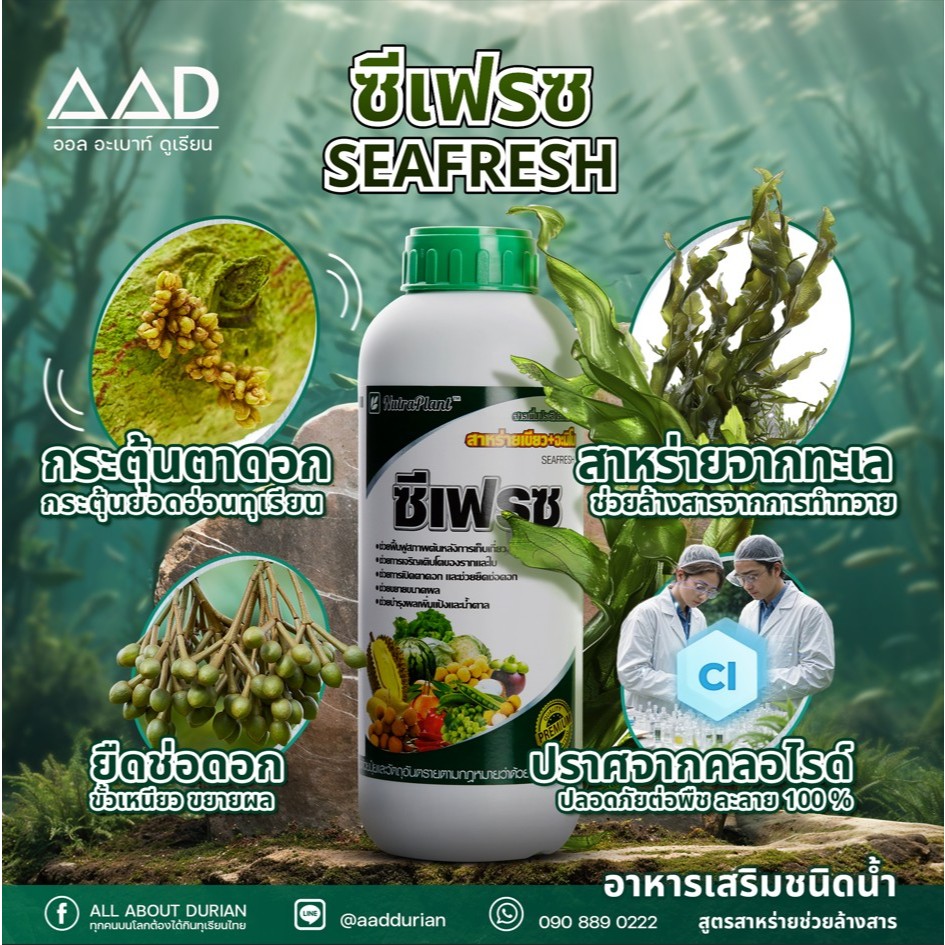 นูตร้าแพลนท์ ซีเฟรซ สารเพิ่มประสิทธิภาพพืช