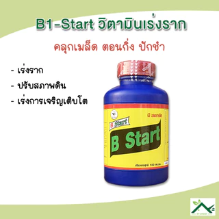 B Start บี-สตาร์ท น้ำยาเร่งราก ตราทีเร็กซ์ สูตรเข้มข้น