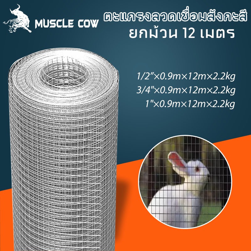 ยกม้วน12m-2.2kg Welded wire mesh ลวดตาข่ายสี่เหลี่ยมชุบกัลวาไนซ์ ตะแกรงกรงไก่นก ตาข่ายลวดเอนกประสงค์ปูพื้นผนัง สูง90cm