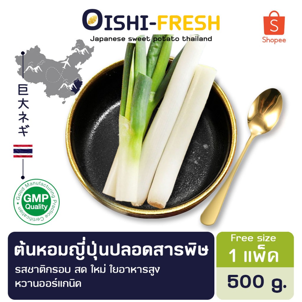 🛒Oishi-Fresh🥬ต้นหอมญี่ปุ่น ปลอดสารพิษ 1 กก.รสชาติกรอบ สด ใหม่ ใยอาหารสูง หวานออร์แกนิด เคลมได้ 1-2 วัน
