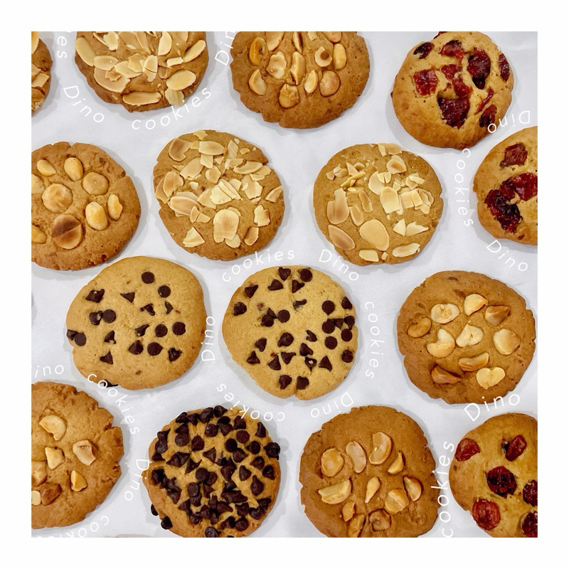 Dino’s Cookie 10ชิ้น/แพค คุ้กกี้ไดโนหอม,หวานน้อย