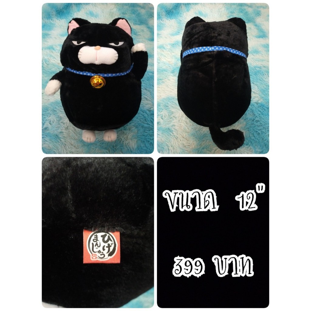 ฮิเกะมันจู#Higemanjyu#Black Lucky Cat#Cat#แมว#แมวดำ#Amuse#อมูส#ตุ๊กตาญี่ปุ่นมือสอง