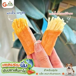 Get Well แซลมอนนิ่มพันปลาเส้นทาโร่ 350 g ขนมแทะเล่นขัดฟัน แพ้ไก่กินได้ สำหรับสุนัข