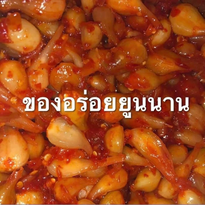 หัวหอมดอง,หลักเกียวดอง,หอมยอยดอง,หอมจีนดอง,桥头,藠头