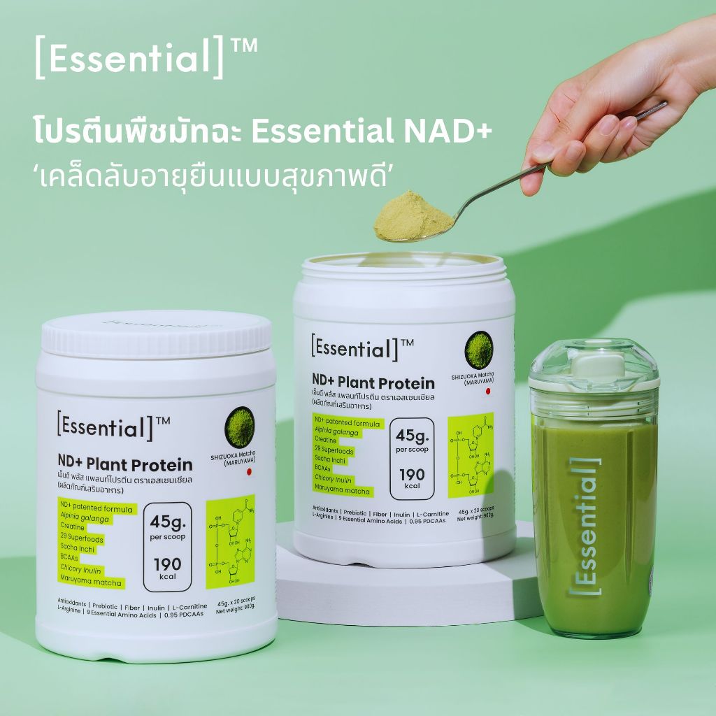 Essential NAD+ Matcha Plant Protein แพคคู่ 2 กระปุก