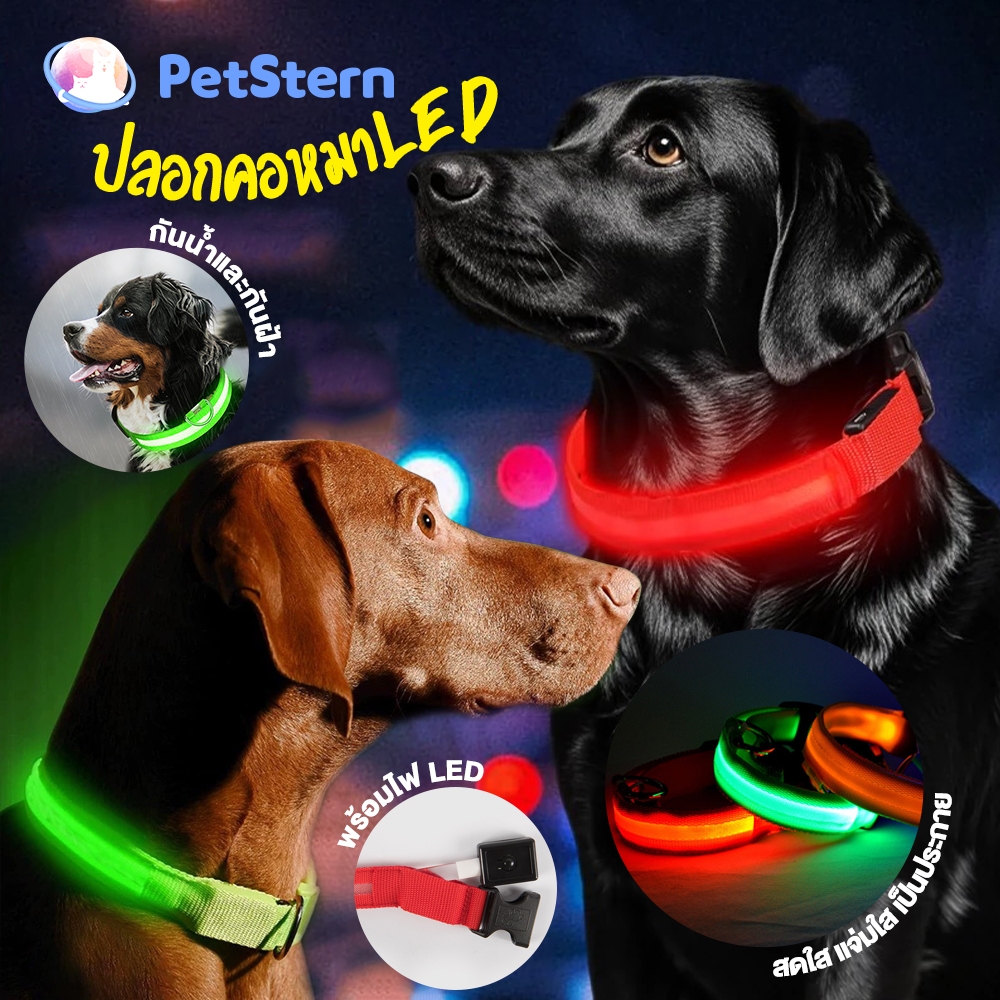 PetStern ปลอกคอสุนัข LED ปลอกคอเรืองแสงสว่างและมองเห็นได้ชัดเจนสำหรับพาสัตว์เลี้ยงเดินเล่นตอนกลางคืน ชาร์จไฟผ่าน USB