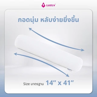 LOTUS หมอนข้างเพื่อสุขภาพ รุ่น Sleepy ป้องกันไรฝุ่น ใยสังเคราะห์