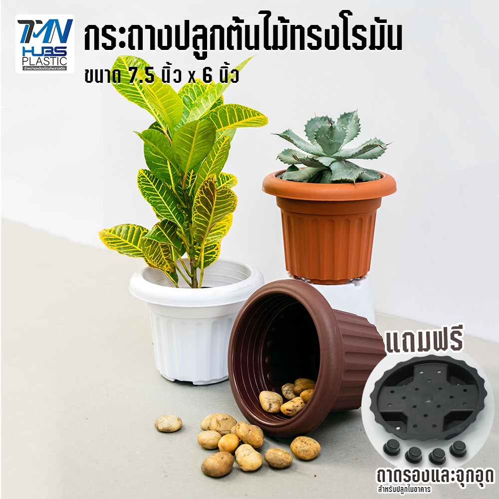 กระถางปลูกต้นไม้พลาสติก ทรงโรมัน ขนาด 7.5 นิ้ว พร้อมถาดรองในและจุกอุดกันน้ำรั่วเพื่อปลูกในอาคาร