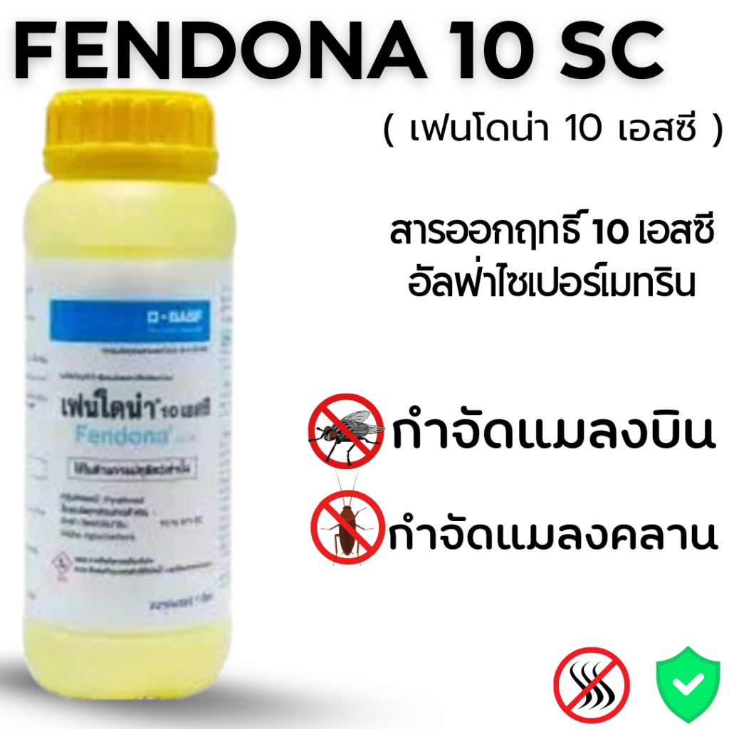 01-0000-08 เฟนโดน่า 10 เอสซี
