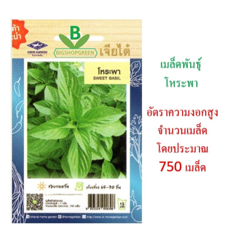5 ฟรี 1 คละได้ทั้งร้าน เมล็ดพันธุ์  โหระพา เจียไต๋ เมล็ดพืช เมล็ดผัก เมล็ดพันธุ์ผัก เมล็ดพันธุ์พืช