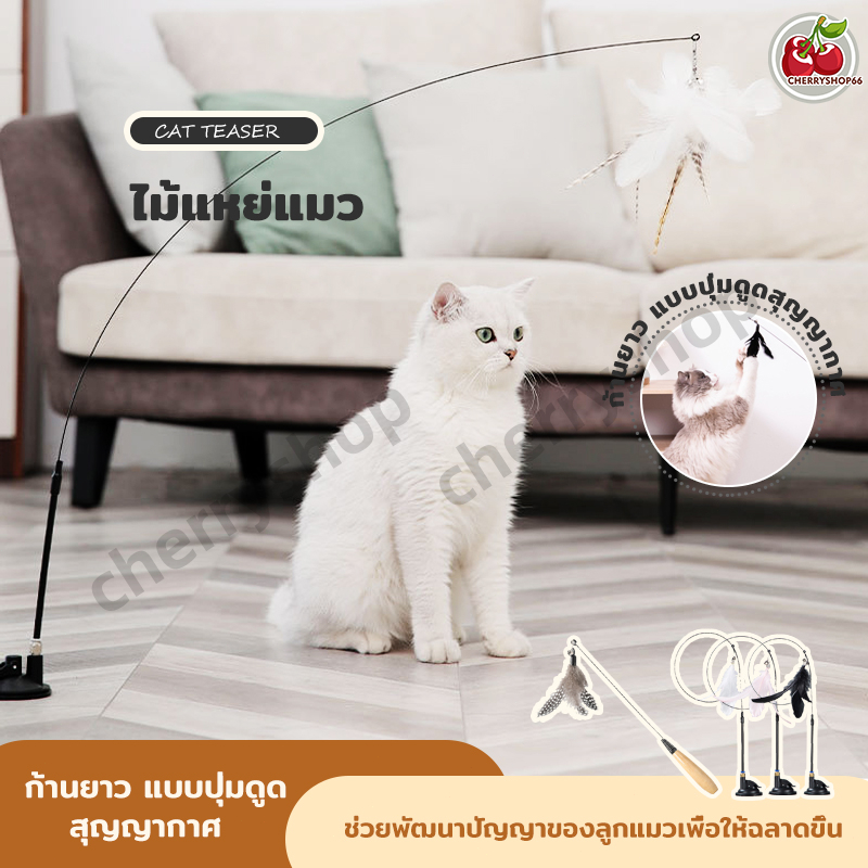 ไม้ล่อแมว ไม้ตกแมว ไม้ตบแมว ไม้แมว ของเล่นแมว ของเล่นเเมว ขอเล่นแมว ขนนกแมว ขนไก่แมว