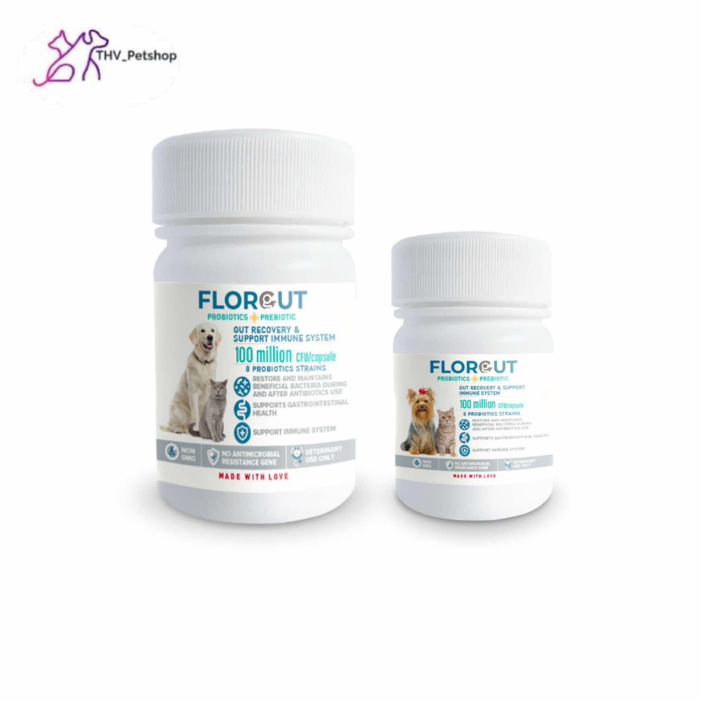 FLORGUT (ฟลอกัท) อาหารเสริมพรีไบโอติกและโพรไบโอติก ปรับสมดุลลำไส้ ลดปัญหาท้องเสีย สำหรับในสุนัขและแมว (30 แคปซูล)