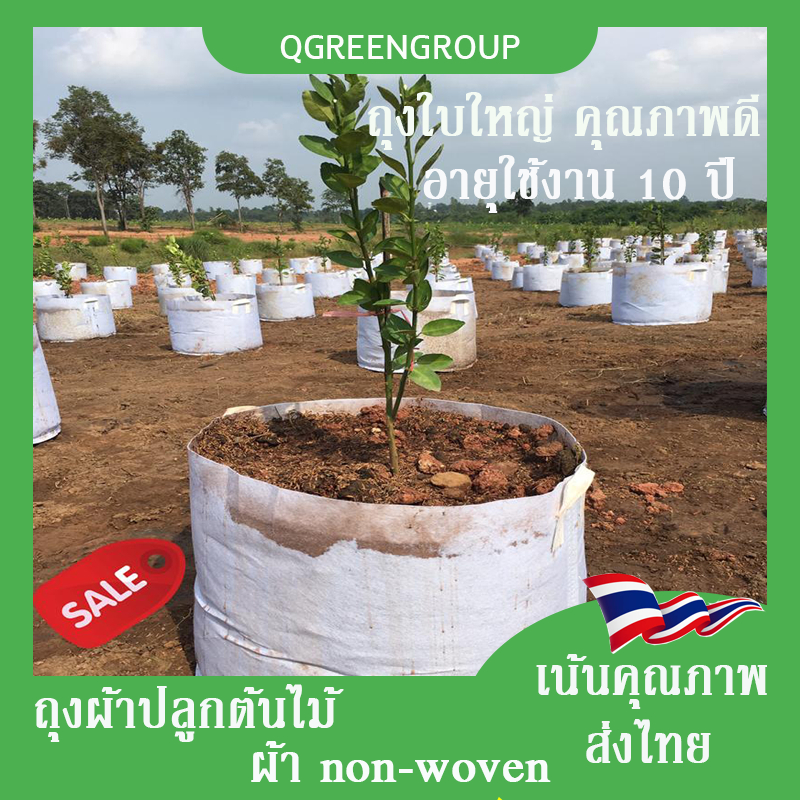 พร้อมส่ง กระถาง ผ้าสีขาว มีหูหิ้ว กระถางปลูกต้นไม้ ถุงปลูกต้นไม้ จำนวน 1 ใบ Non-woven fabric
