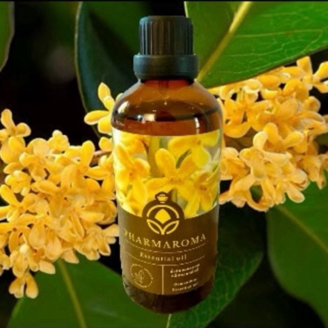 Fragrance oil กลิ่นหอมหมื่นลี้  ใส่เครื่องพ่น และเตาอโรม่าได้