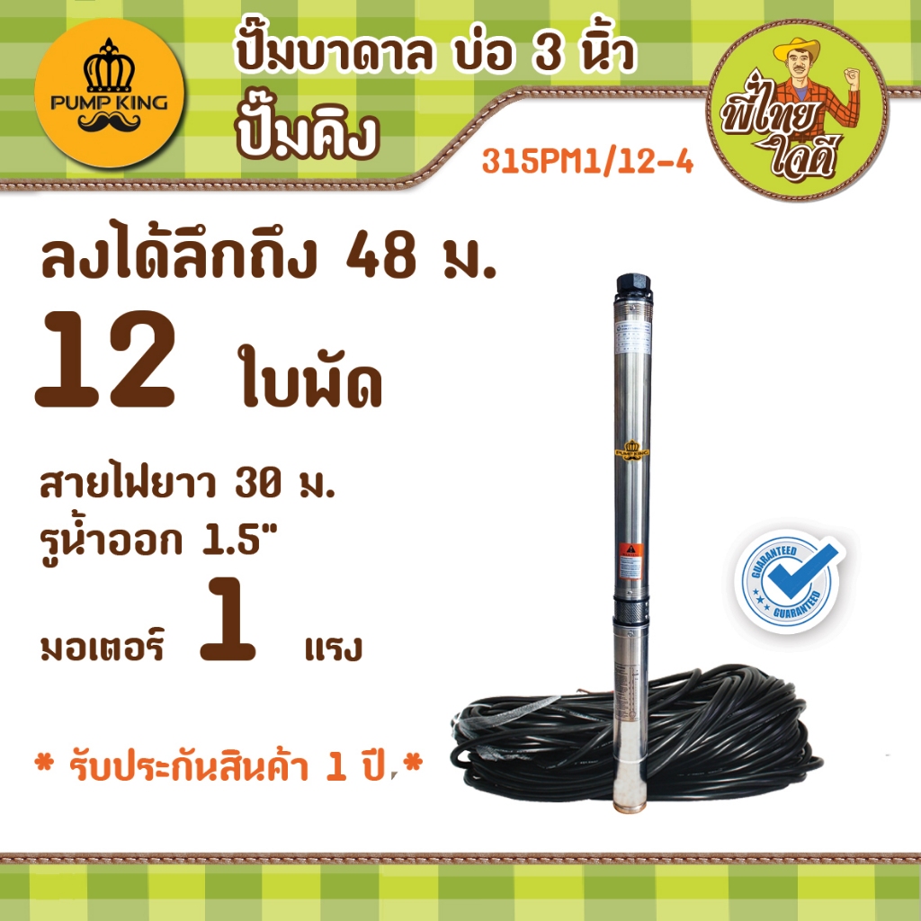 ปั๊มบาดาล บ่อ 3 นิ้ว รุ่น 315PM1/12-4