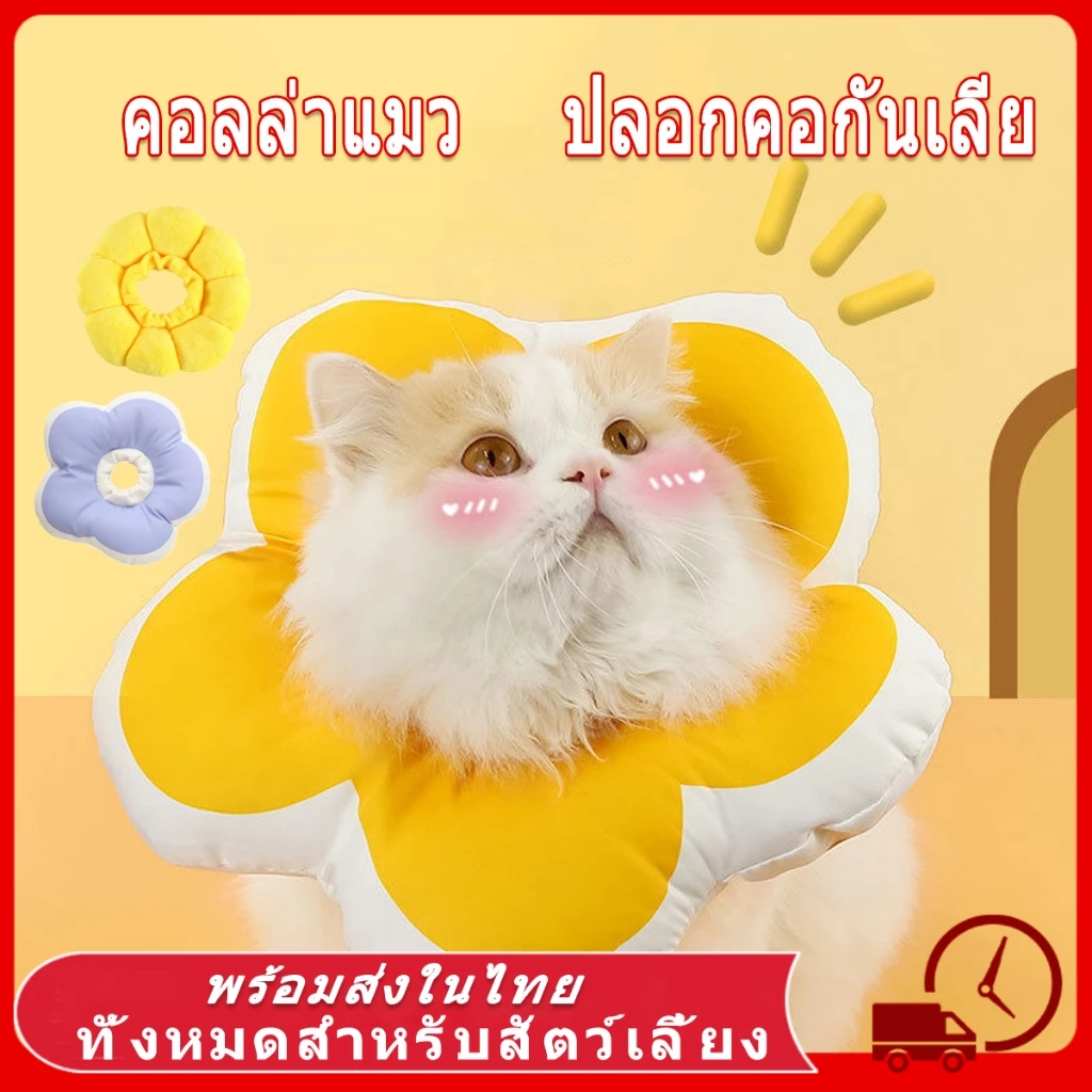 🏵️ collar แมว ปลอกคอแมว คอลล่าแมว ปอกคอแมว ปลอกคอกันเลีย ปอกคอสัตว์เลี้ยง ลำโพงกันเลีย ปอกคอกันเลีย คอลล่าสุนัข คอลล่า
