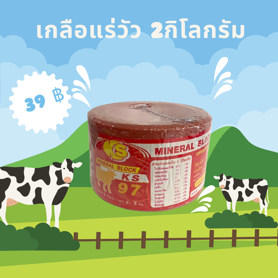 **สีแดง สำหรับตัวผู้** เกลือแร่วัว ก้อน 2 กิโล  แร่ธาตุ วิตามิน สำหรับ วัว ควาย แพะ แกะ ม้า แบบก้อน