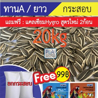 [ยกกระสอบ 20KG] ทานตะวัน A_เม็ดใหญ่ รุ่นยาว / อาหารนกแก้ว แล…