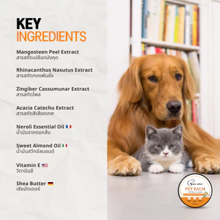 Goodboss Pet Balm บาล์มเเท่งสำหรับสัตว์เลี้ยง ช่วยให้เเผลเเห้งเร็ว ขนาด 5 กรัม ผลิตภัณฑ์ออแกนิค
