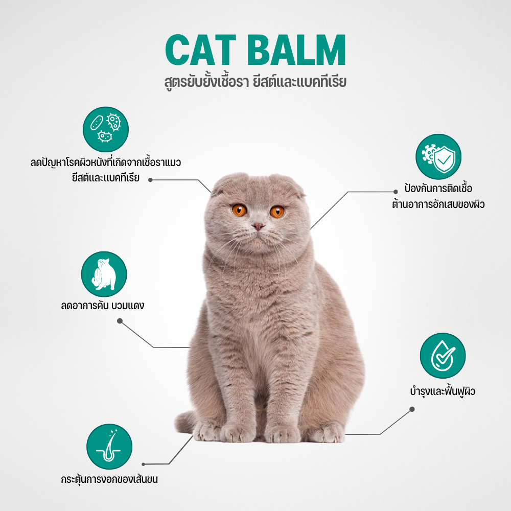 Goodboss Cat Balm บาล์มสำหรับเเมว ขนาด 50 กรัม เชื้อรา ยีสต์ ลดอาการคัน เกา ขนร่วง ผลิตภัณฑ์ออแกนิค - รูปที่ 4