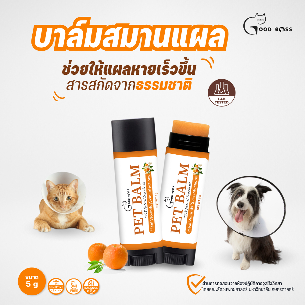 รูปภาพ 5