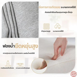 Q Furniture โซฟา 1 / 2 / 3 ที่นั่ง สไตล์มินิมอล โซฟาห้องนั่งเล่น โซฟาไม้ยางพารา รุ่น C